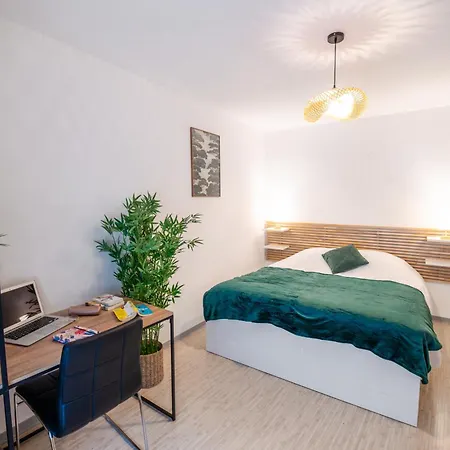 La Canopee - Parking - Centre - Netflix - 6 Pers - 66m2 Appartement Guebwiller